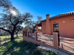 LOS PINOS DE NAVALFRESNO Aracena